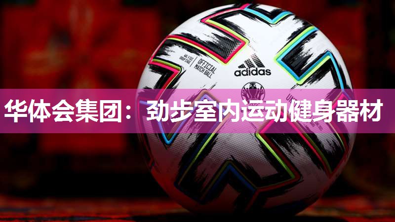 华体会集团：劲步室内运动健身器材