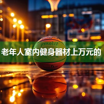 老年人室内健身器材上万元的