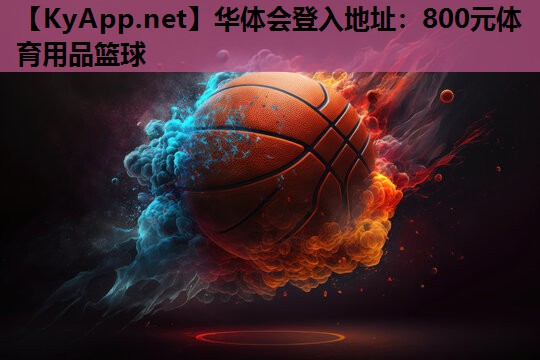 华体会登入地址：800元体育用品篮球