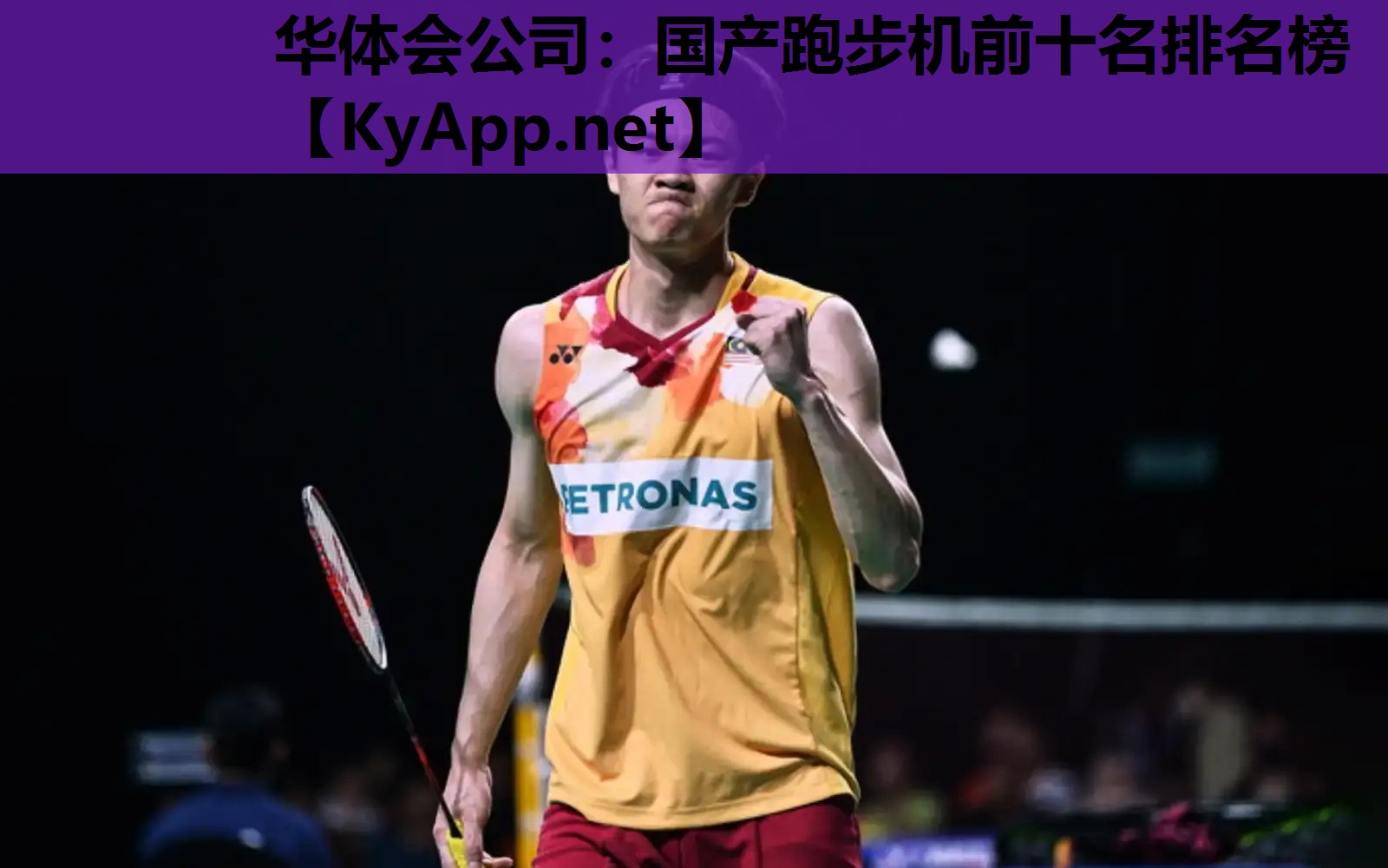 华体会公司：国产跑步机前十名排名榜