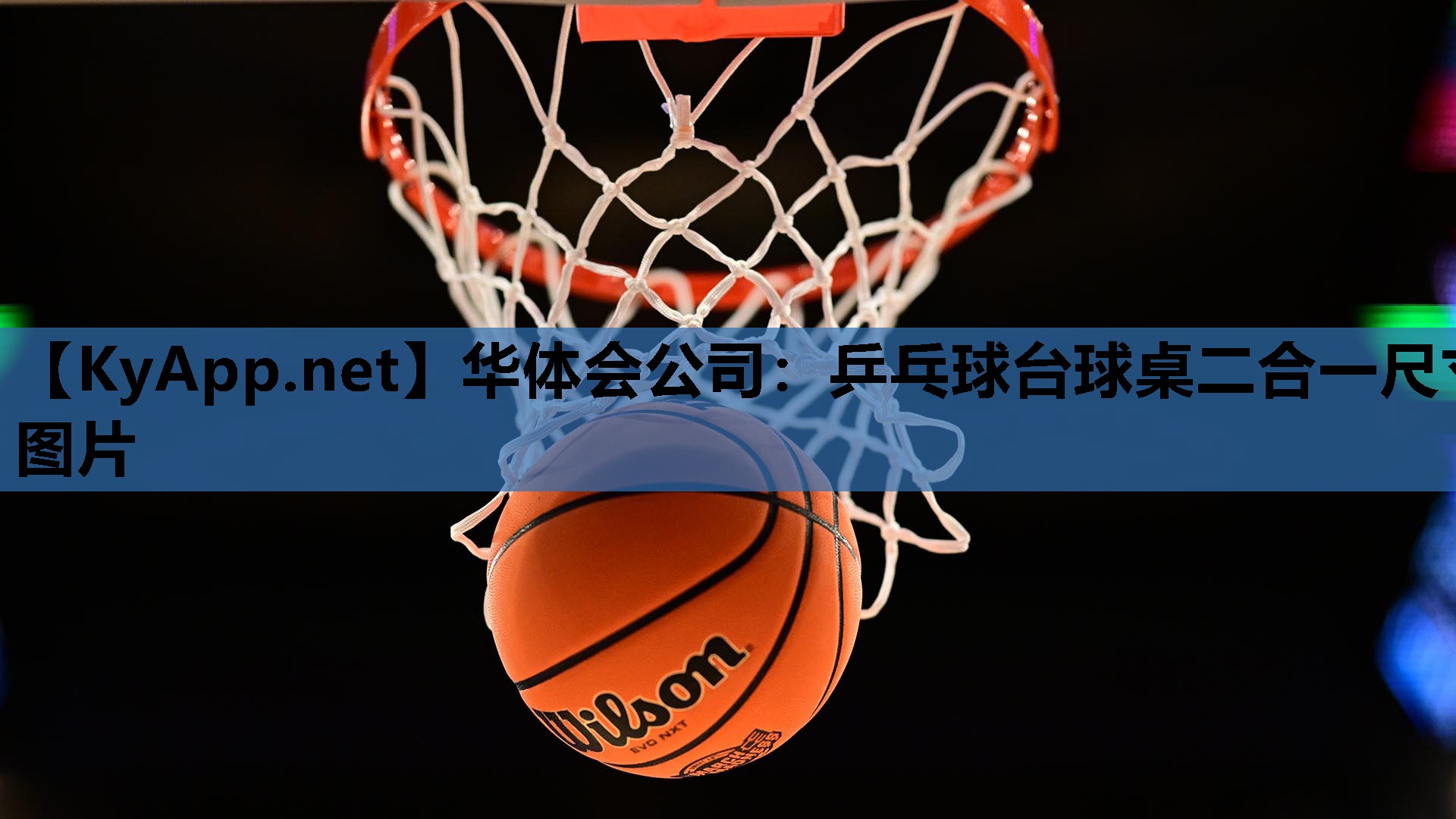 华体会公司：乒乓球台球桌二合一尺寸图片