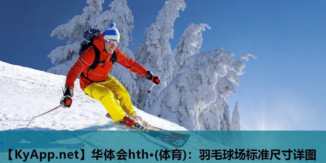 华体会hth·(体育)：羽毛球场标准尺寸详图