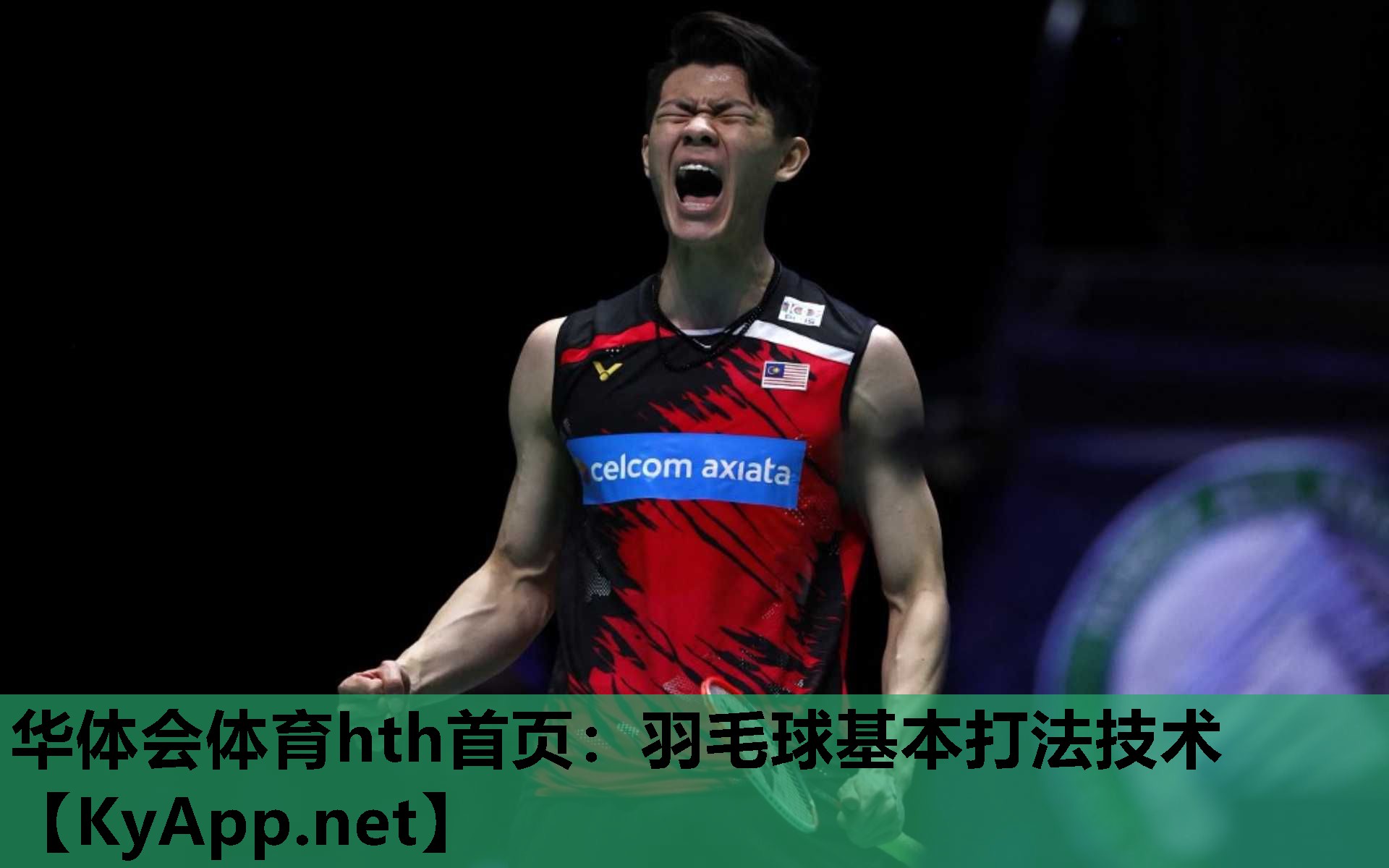 华体会体育hth首页：羽毛球基本打法技术