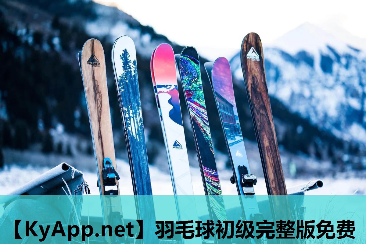 羽毛球初级完整版免费