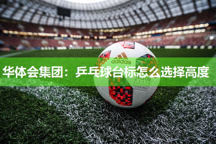 乒乓球台标怎么选择高度