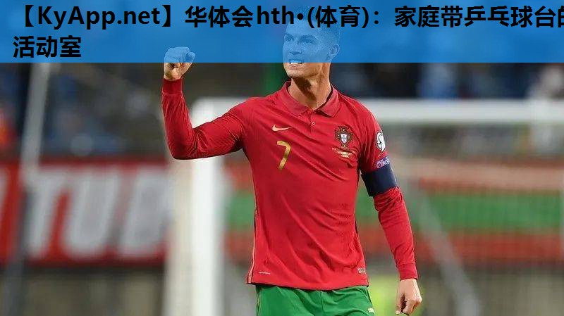 家庭带乒乓球台的活动室 家庭带乒乓球台的活动室