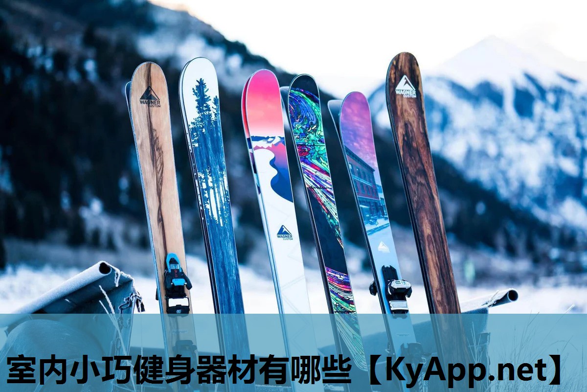 室内小巧健身器材有哪些 室内小巧健身器材有哪些