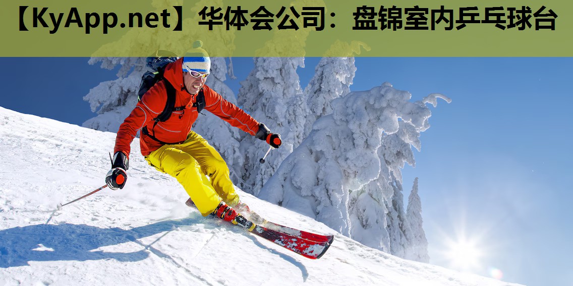 盘锦室内乒乓球台 盘锦室内乒乓球台