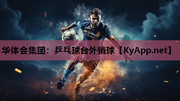 乒乓球台外销球 乒乓球台外销球