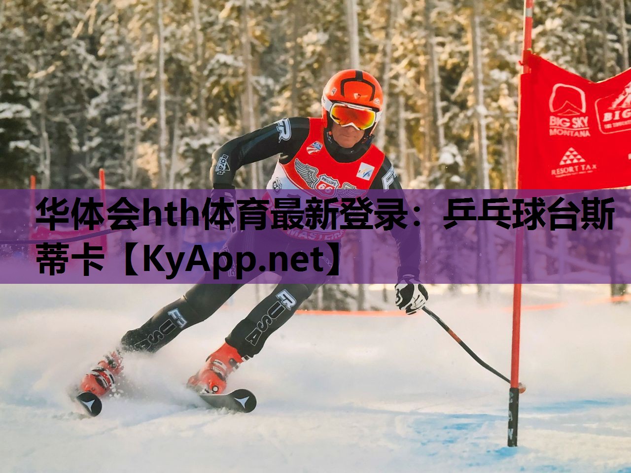 乒乓球台斯蒂卡 乒乓球台斯蒂卡