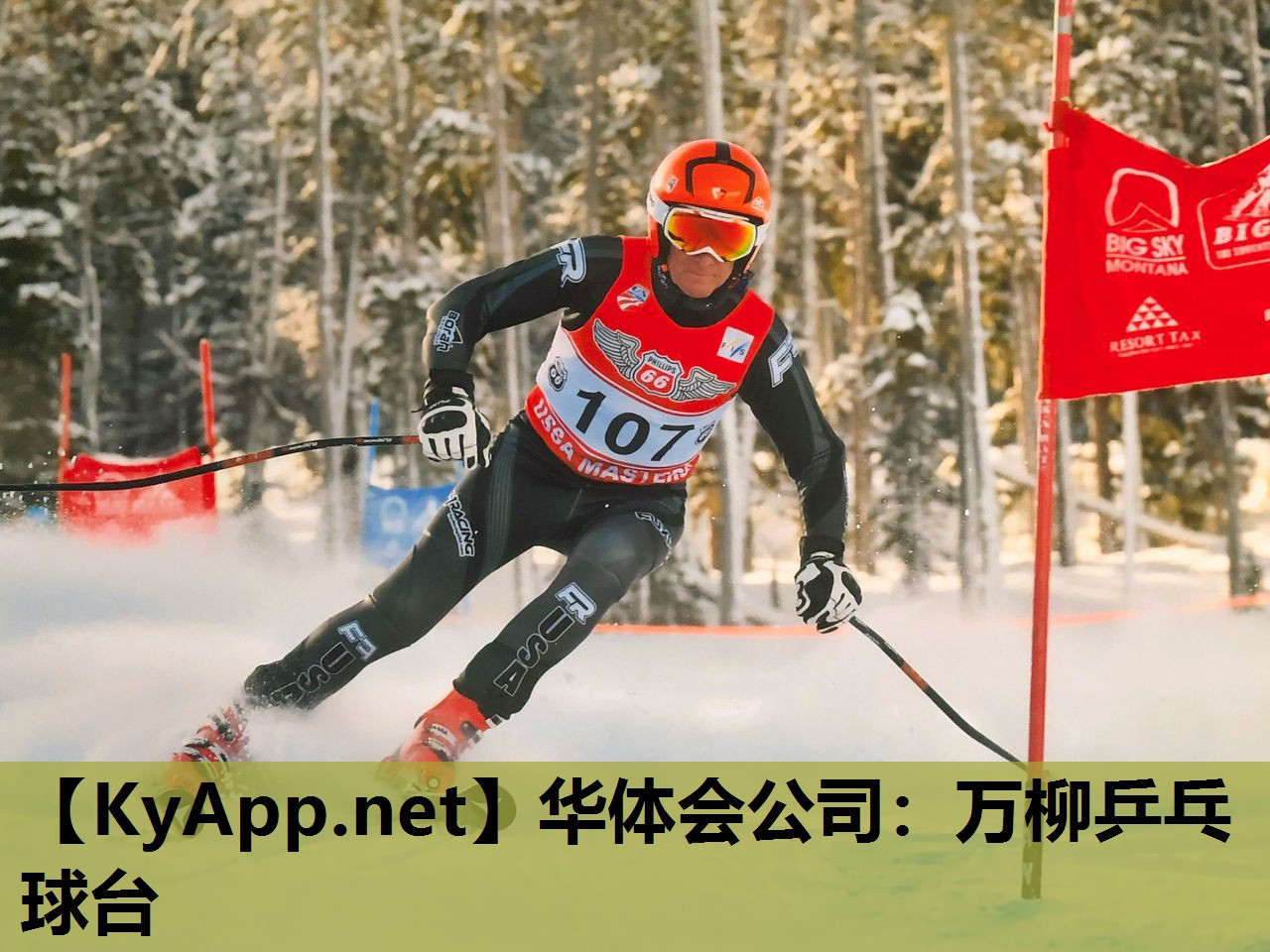 万柳乒乓球台 万柳乒乓球台
