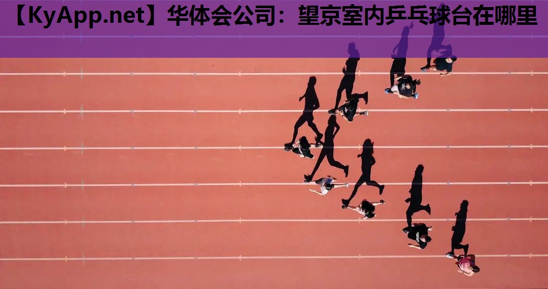 望京室内乒乓球台在哪里 望京室内乒乓球台在哪里