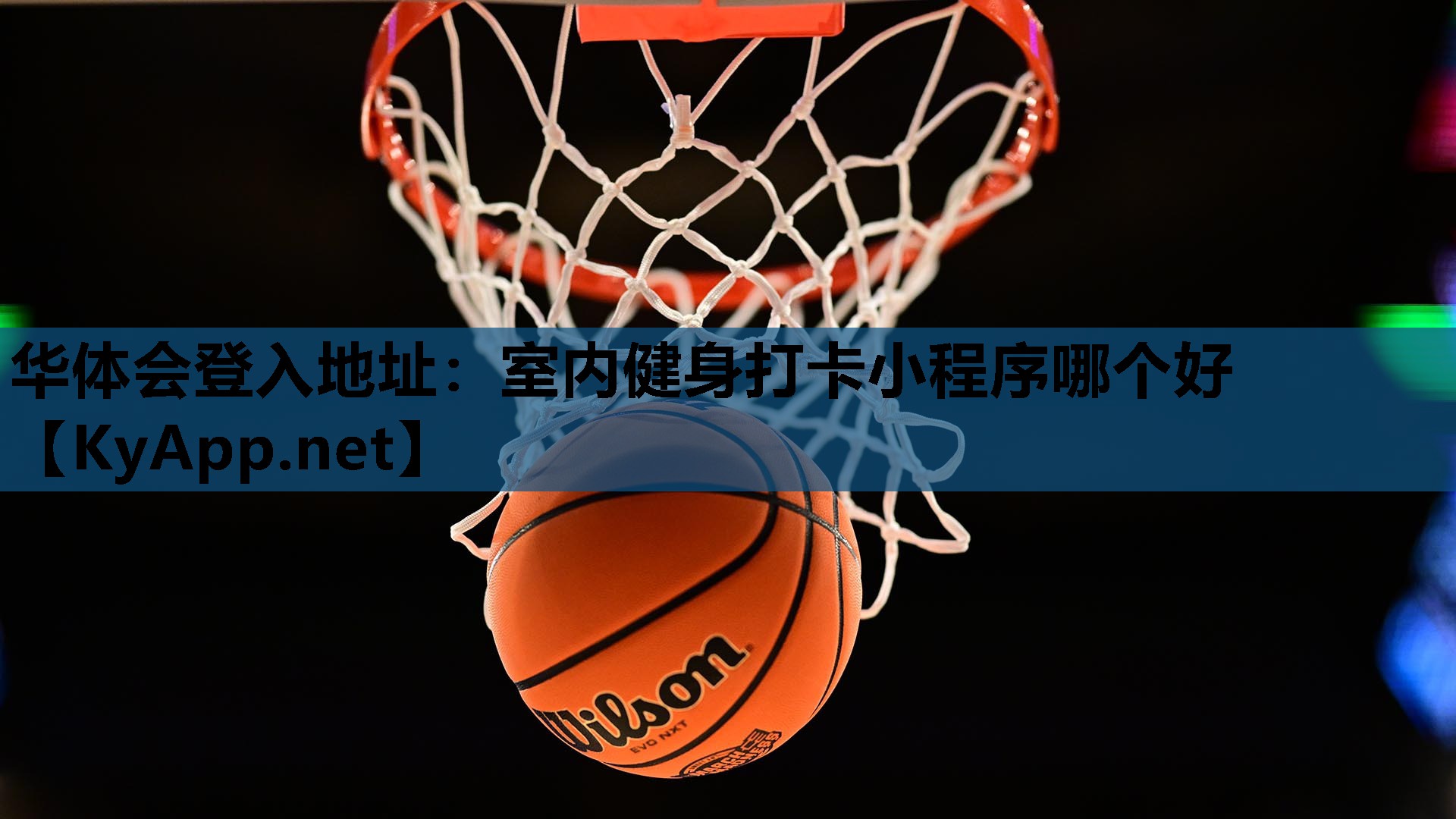 室内健身打卡小程序哪个好 室内健身打卡小程序哪个好