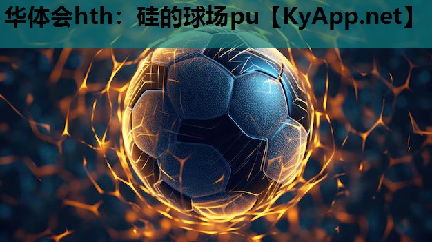 硅的球场pu 硅的球场pu