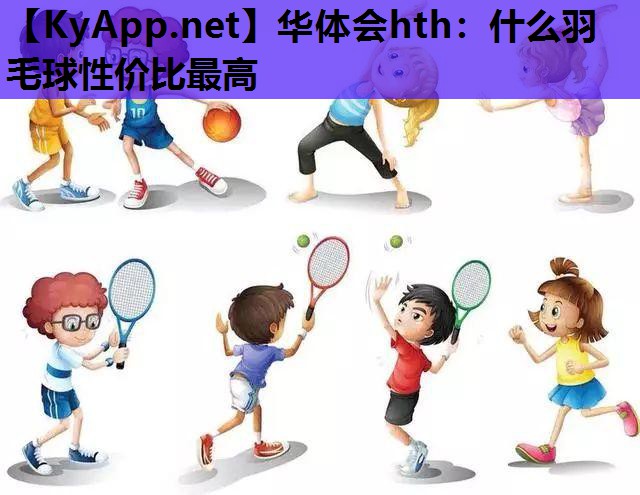 什么羽毛球性价比最高 什么羽毛球性价比最高