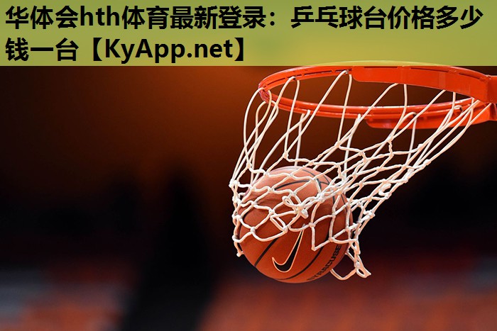 乒乓球台价格多少钱一台 乒乓球台价格多少钱一台