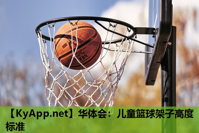 儿童篮球架子高度标准 儿童篮球架子高度标准