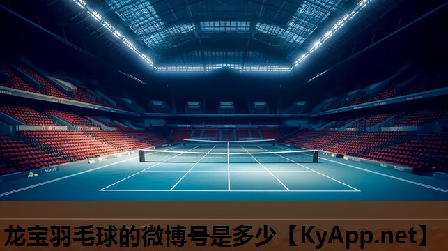 龙宝羽毛球的微博号是多少 龙宝羽毛球的微博号是多少