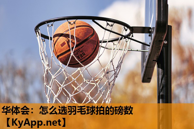 怎么选羽毛球拍的磅数 怎么选羽毛球拍的磅数