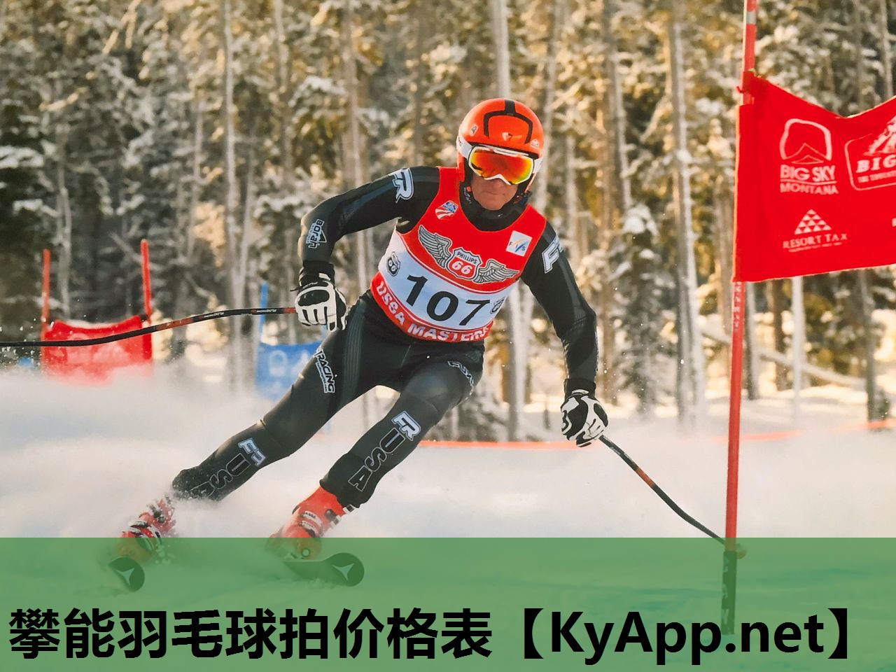 攀能羽毛球拍价格表 攀能羽毛球拍价格表
