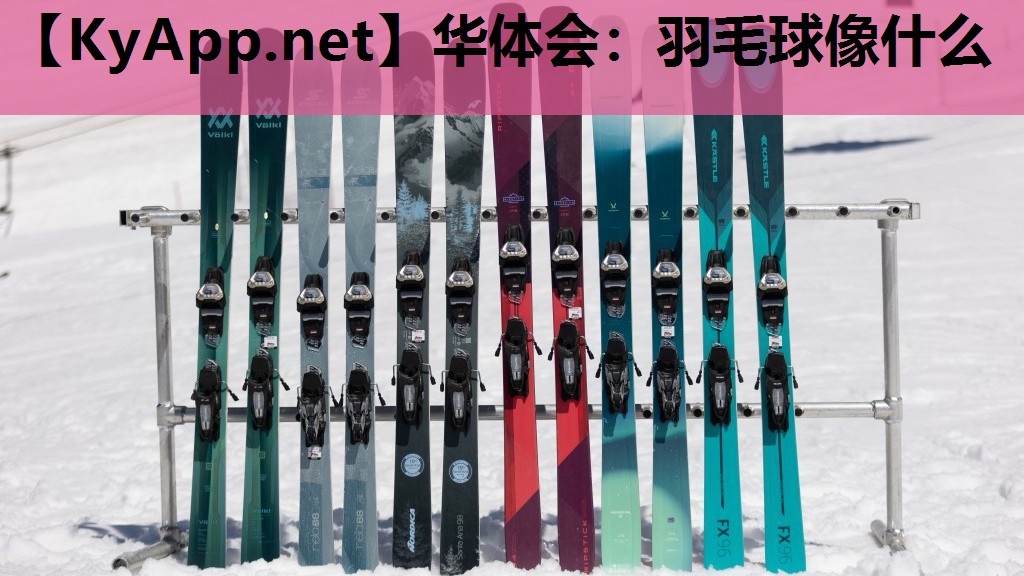 羽毛球像什么 羽毛球像什么