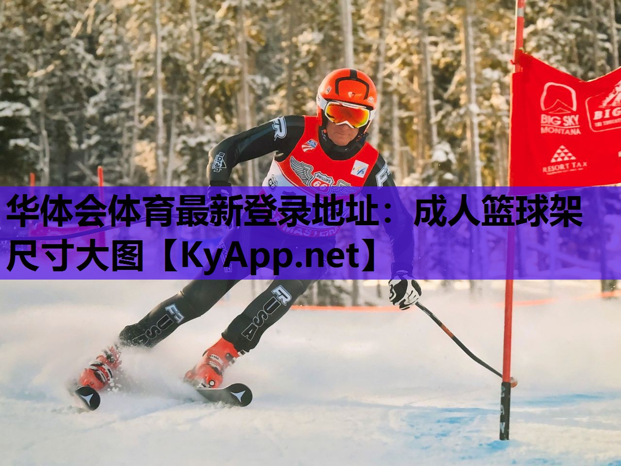 成人篮球架尺寸大图 成人篮球架尺寸大图