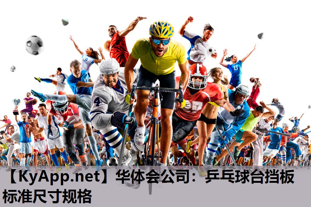 乒乓球台挡板标准尺寸规格