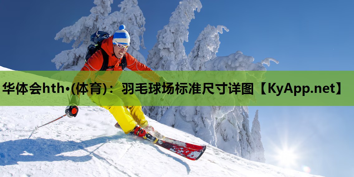 羽毛球场标准尺寸详图 羽毛球场标准尺寸详图
