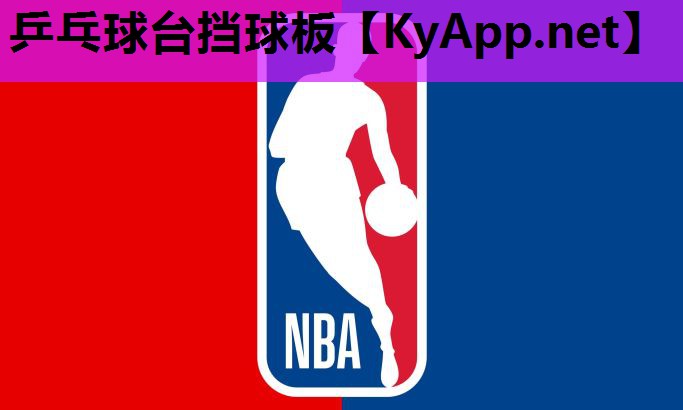 乒乓球台挡球板 乒乓球台挡球板