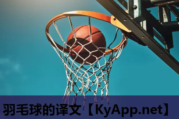 羽毛球的译文 羽毛球的译文