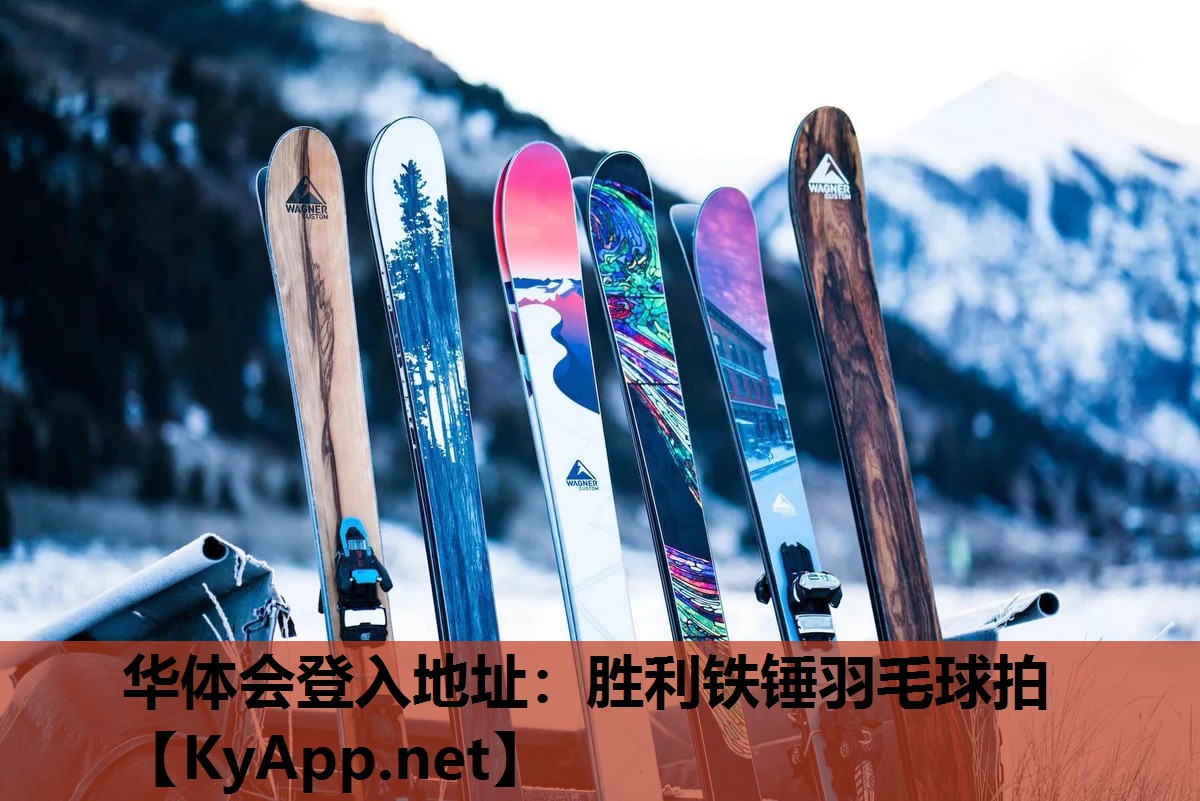 胜利铁锤羽毛球拍 胜利铁锤羽毛球拍