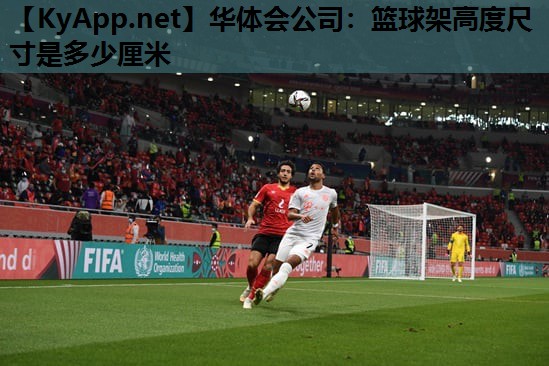 篮球架高度尺寸是多少厘米 篮球架高度尺寸是多少厘米