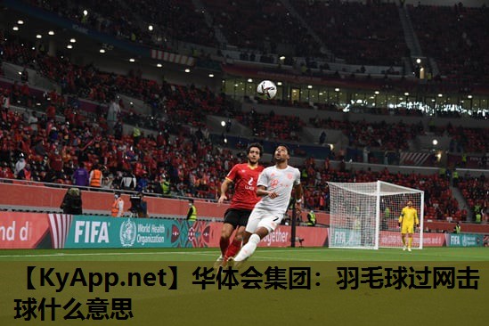 羽毛球过网击球什么意思 羽毛球过网击球什么意思